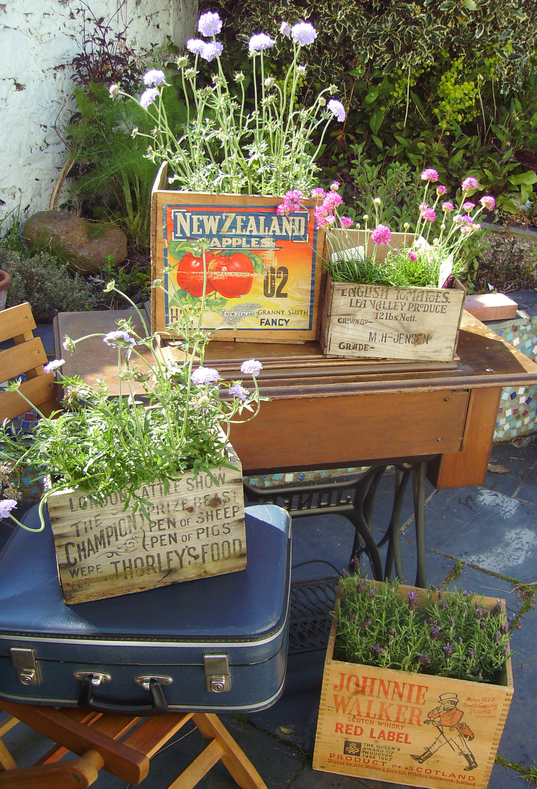 Vintage Garden Displays